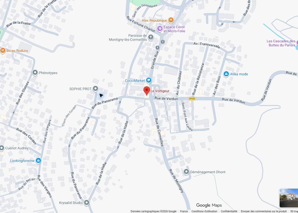 Plan du quartier autour du Voltigeur avec son repère rouge